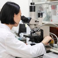洗濯科学研究所の研究員